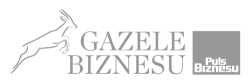 Gazele Biznesu